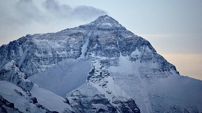 Mount Everest - PTI